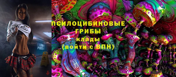 круглые Вязьма